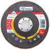 EuroFachmann CYRKON flap discs