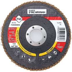 EuroFachmann CYRKON XL flap discs